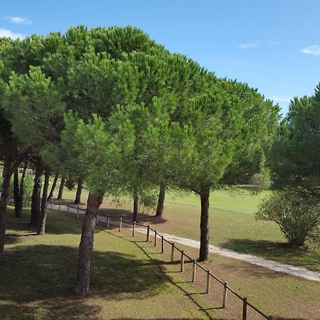 Vert Paradis - Vue Apaisante Sur Golf, Pins Parasols, 2E Etage - 80 M2 Dont Terrasse Avec Pergola, 2 Chambres, 3Et Iles, 3 Clim, Wifi - Piscine, Parking Et Park A Velos, Ascenseur - En Option Linge, Menage - Pistes Cyclables, Mer A Proximite Saint-Cyprien  Exterior foto
