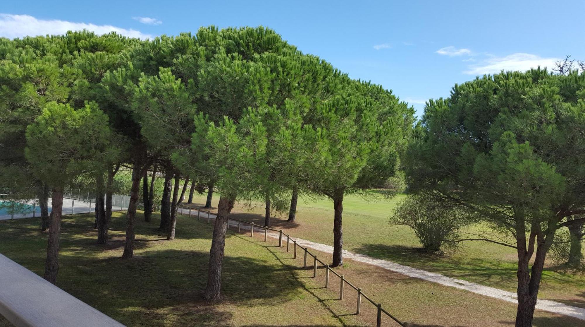 Vert Paradis - Vue Apaisante Sur Golf, Pins Parasols, 2E Etage - 80 M2 Dont Terrasse Avec Pergola, 2 Chambres, 3Et Iles, 3 Clim, Wifi - Piscine, Parking Et Park A Velos, Ascenseur - En Option Linge, Menage - Pistes Cyclables, Mer A Proximite Saint-Cyprien  Exterior foto