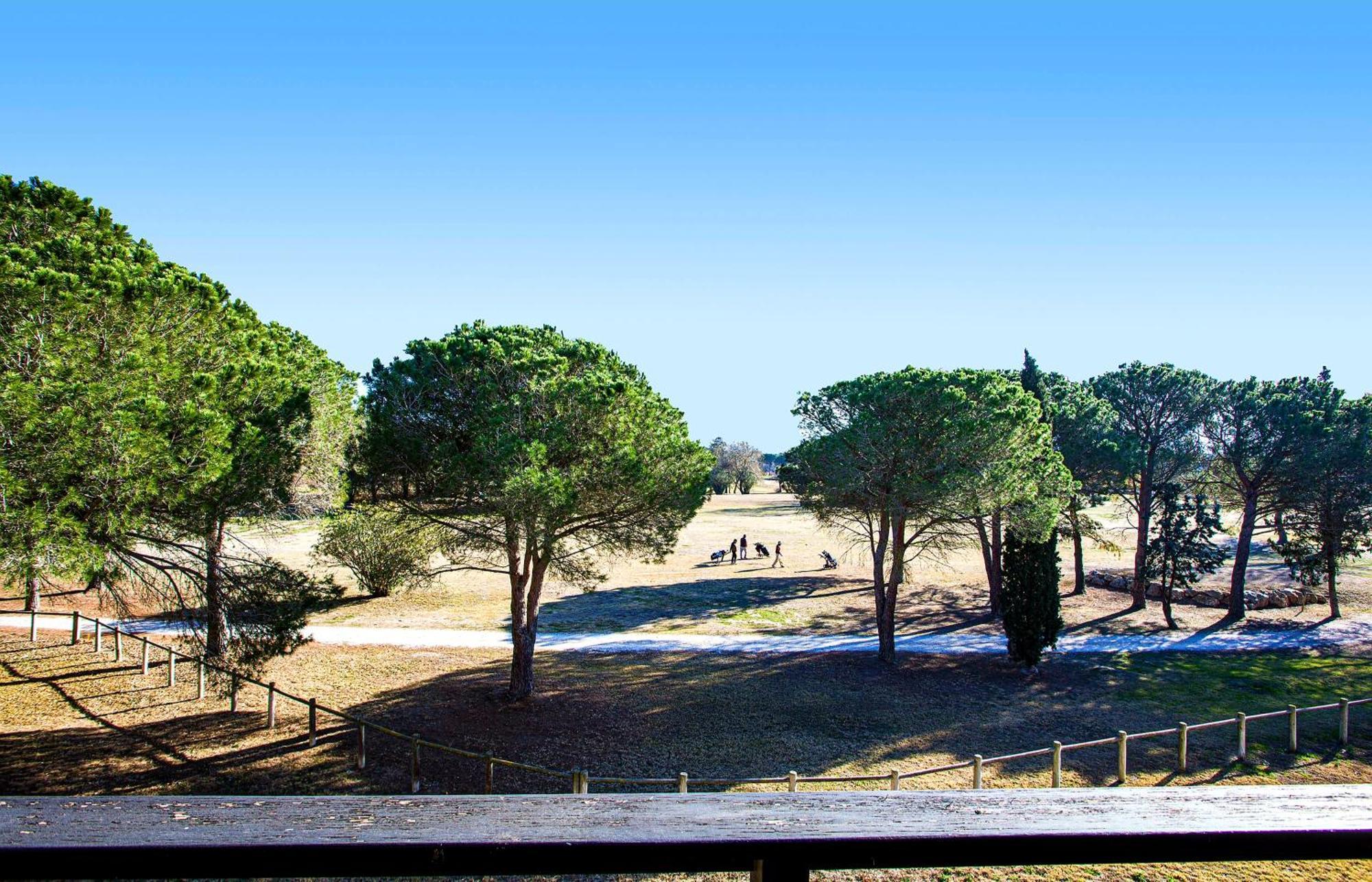 Vert Paradis - Vue Apaisante Sur Golf, Pins Parasols, 2E Etage - 80 M2 Dont Terrasse Avec Pergola, 2 Chambres, 3Et Iles, 3 Clim, Wifi - Piscine, Parking Et Park A Velos, Ascenseur - En Option Linge, Menage - Pistes Cyclables, Mer A Proximite Saint-Cyprien  Exterior foto